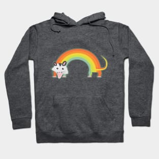 Rainbow Opossum Hoodie